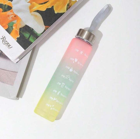 Gradient Water Bottles for School